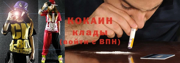 шишки Костерёво
