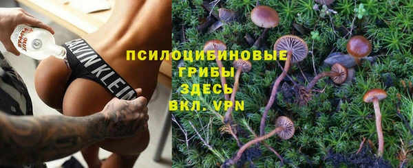 таблы Анжеро-Судженск