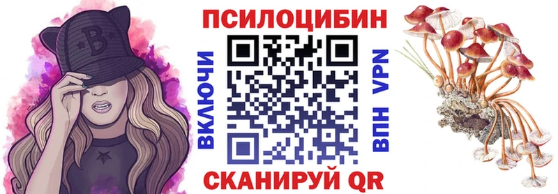 Псилоцибиновые грибы мухоморы KRAKEN как зайти Липки